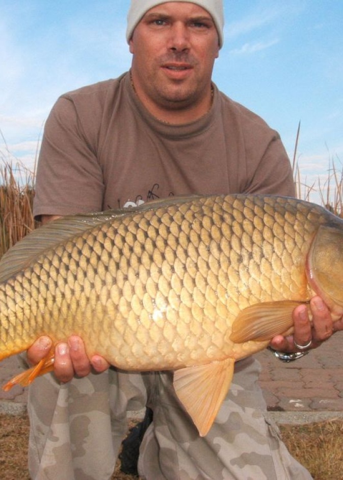 سمك الكارب هواية عالمية لتربيتها 