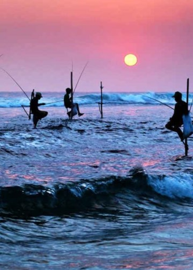 سريلانكا تعد واحدة من أفضل البلدان السياحية في منطقة جنوب آسيا