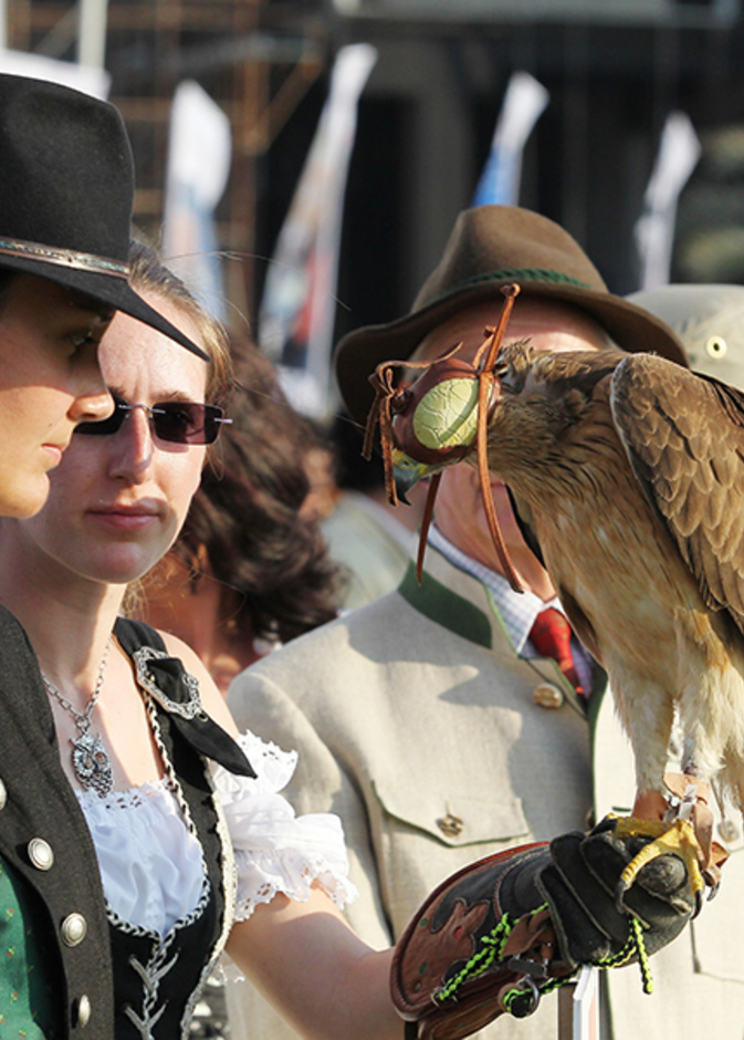 مهرجان الصداقة الدولي الرابع للبيزرة بأبوظبي