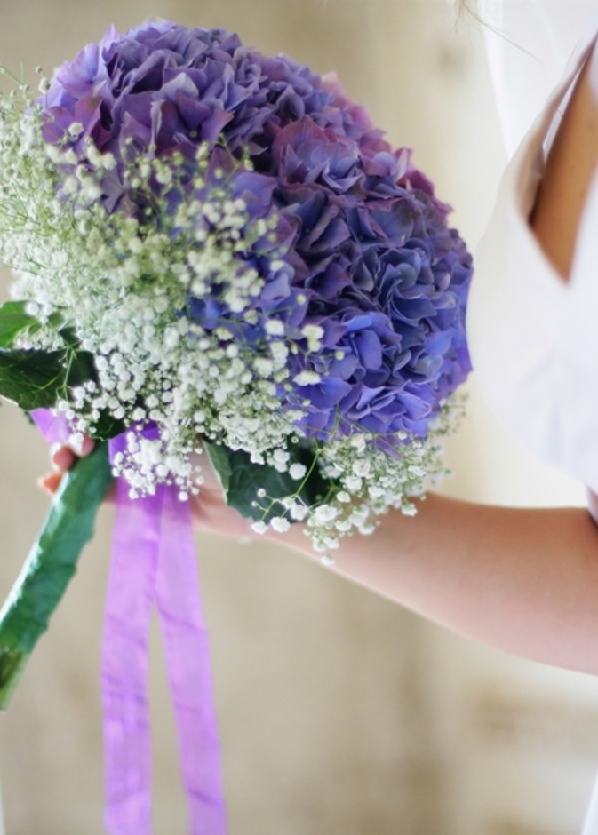 نعومة الباقة البنفسجية