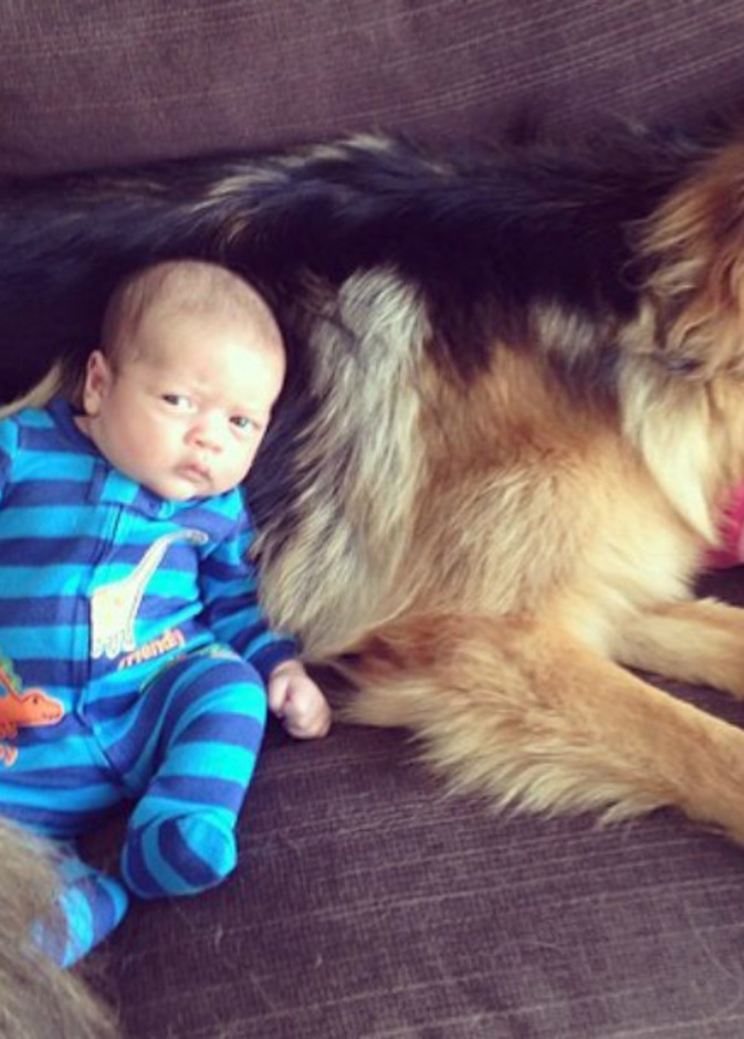 نصائح للام قبل اختيار حيوان اليف لطفلك