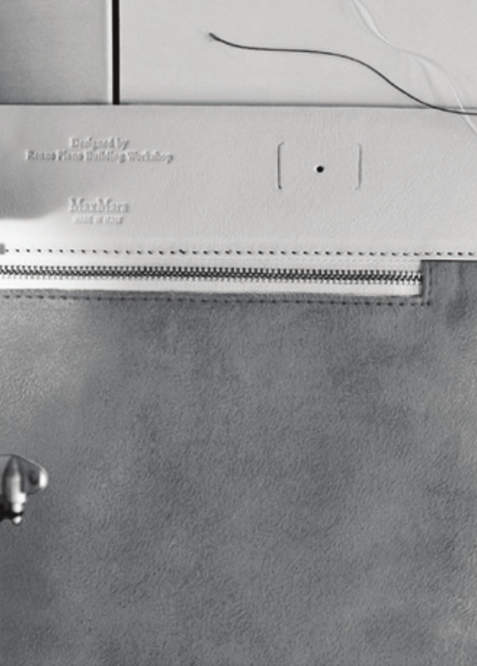 تصميم حقيبة ويتني