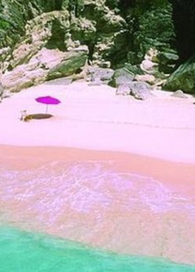 الشاطئ الزهري في هاربور