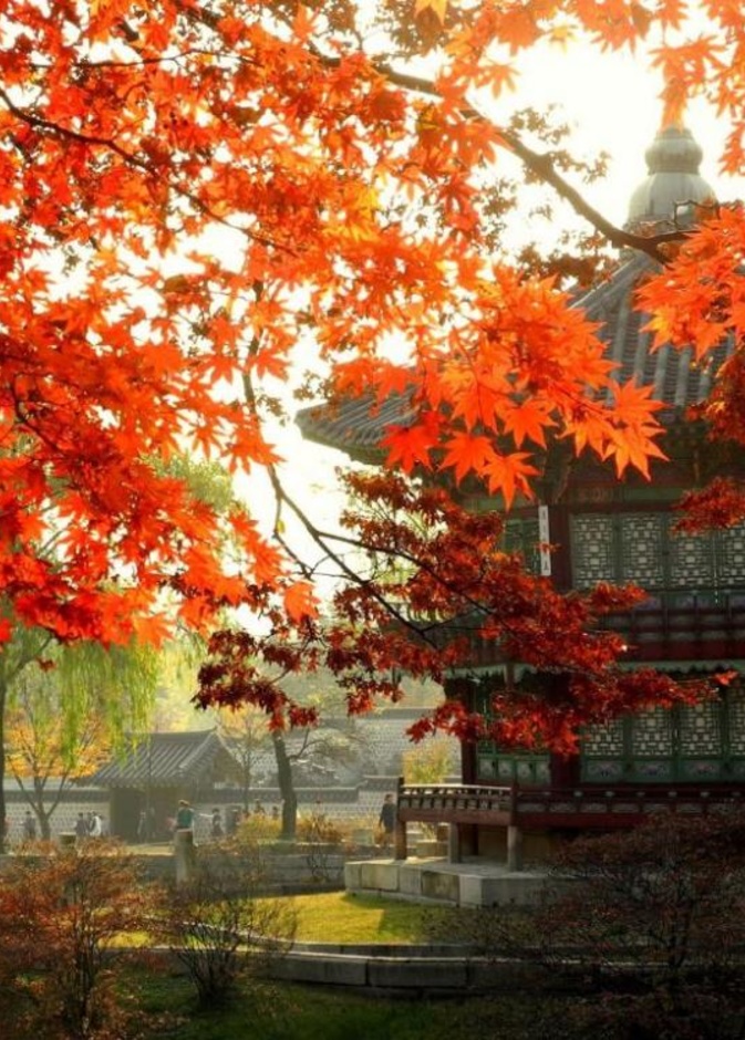 اجمل المناظر بكوريا الجنوبيه لن تندم