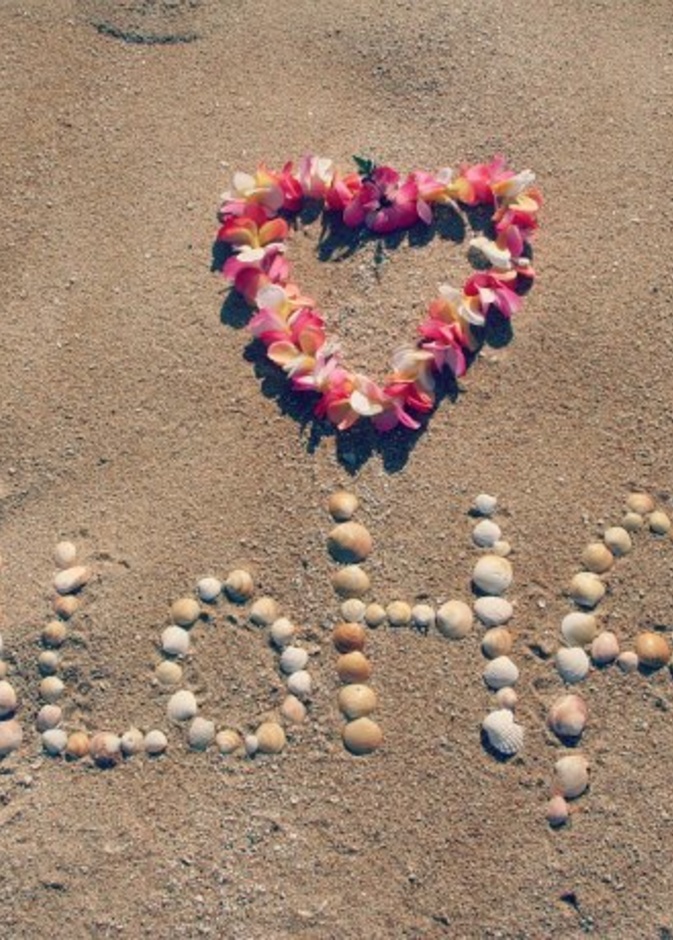 مهرجان ألوها أحد أكثر المهرجانات شعبية في العاصمة أبوظبي