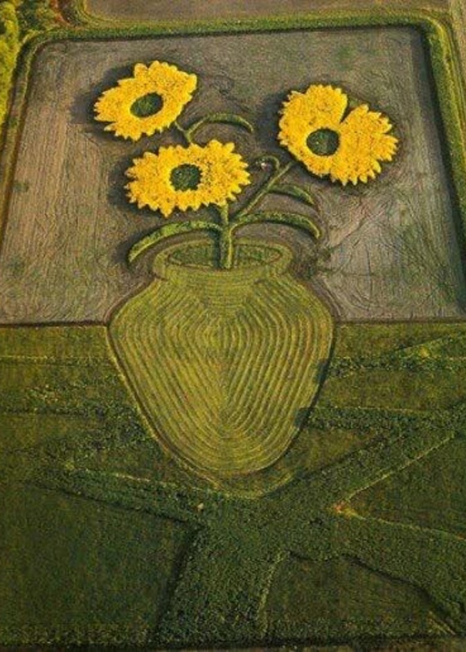 لوحة للورد في احدى المزارع 