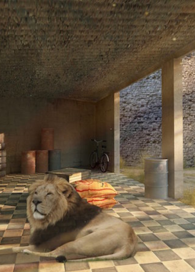 room with a zoo .. تجربة لا مثيل لها في حديقة حيوان لندن