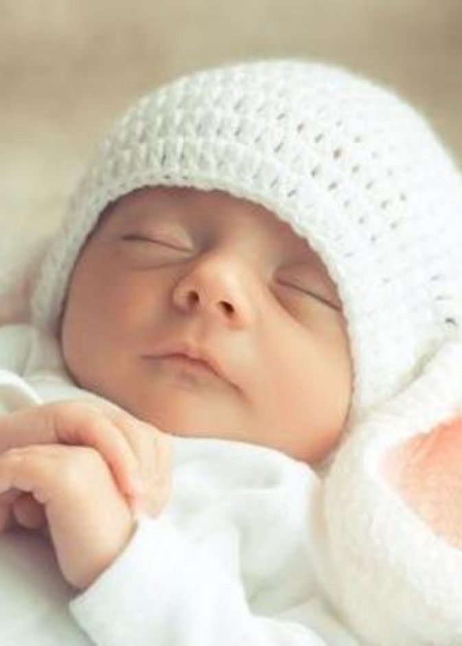 المولود الجديد 