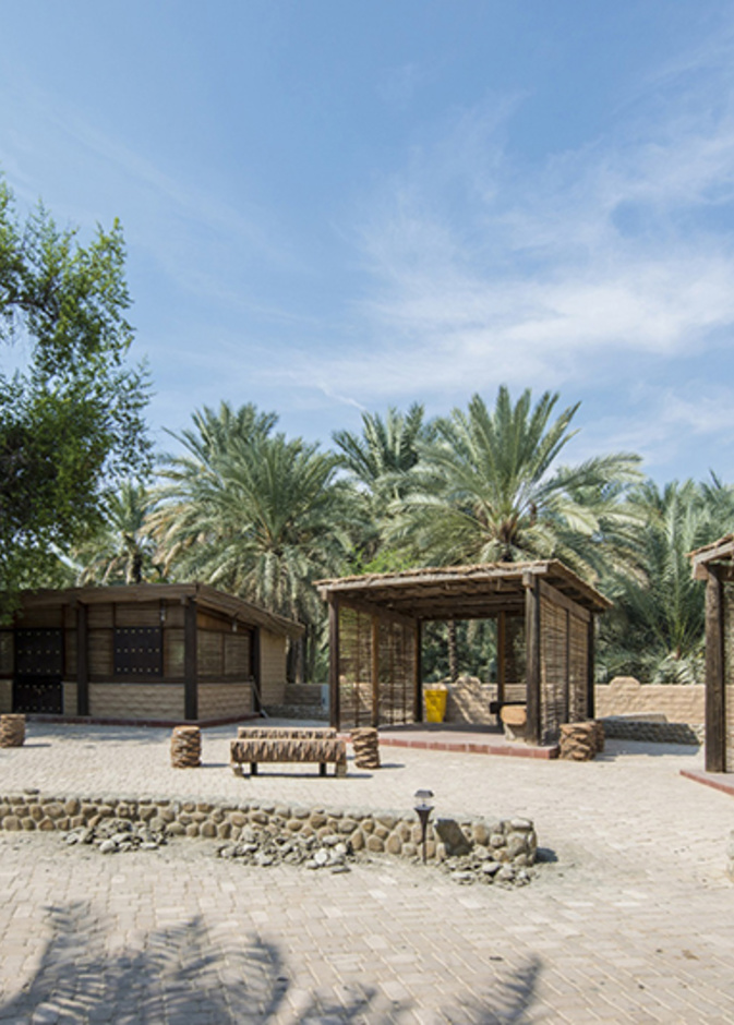 واحة العين... أول موقع إماراتي مدرج على قائمة اليونسكو للتراث العالمي