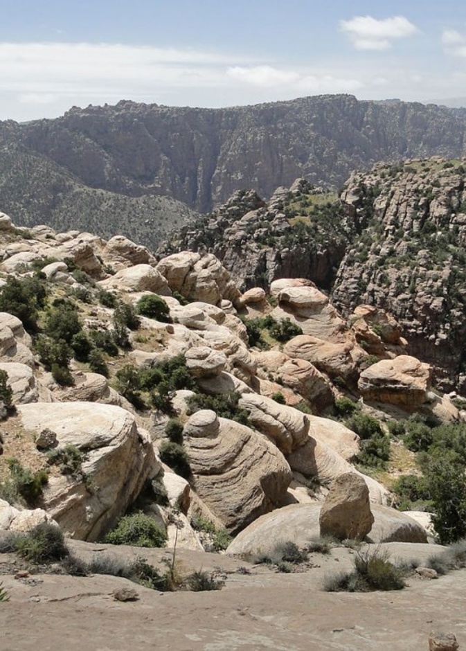 محمية ضانا الطبيعية تعد وجهة مثالية لمحبي الطبيعية وهواة الذهاب في رحلات استكشافية