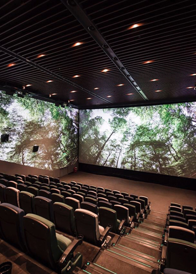 ScreenX في دبي مول.. تجربة سينمائية الأولى من نوعها في العالم 