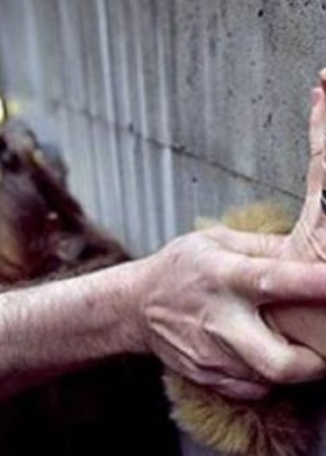 ذهبت للتوعية ضد الإغتصاب فتعرضت لنفس المصير