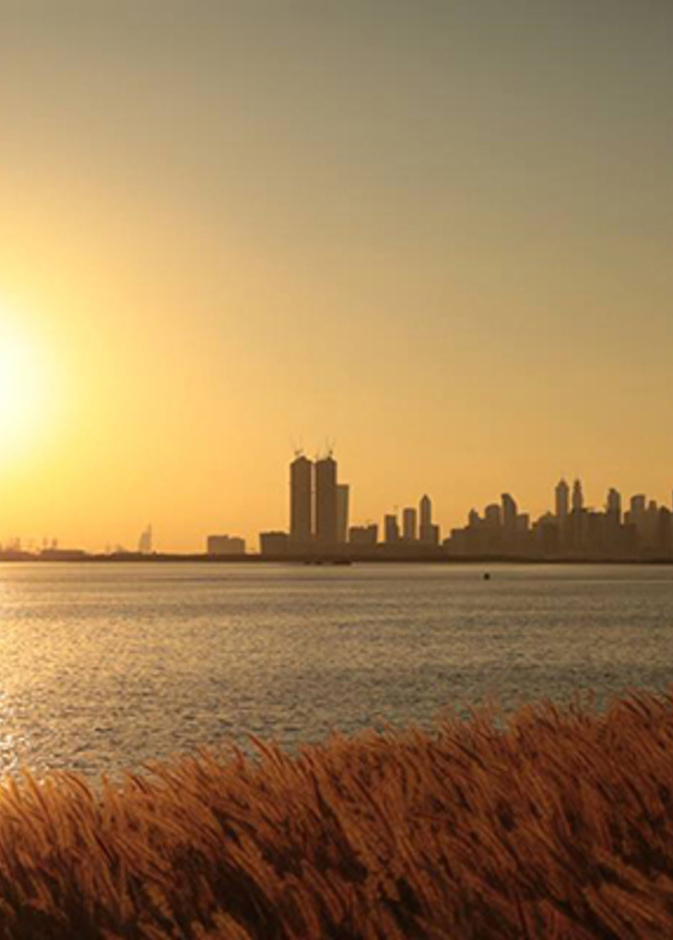 أفضل الأماكن ذات الإطلالات الخلابة في دبي