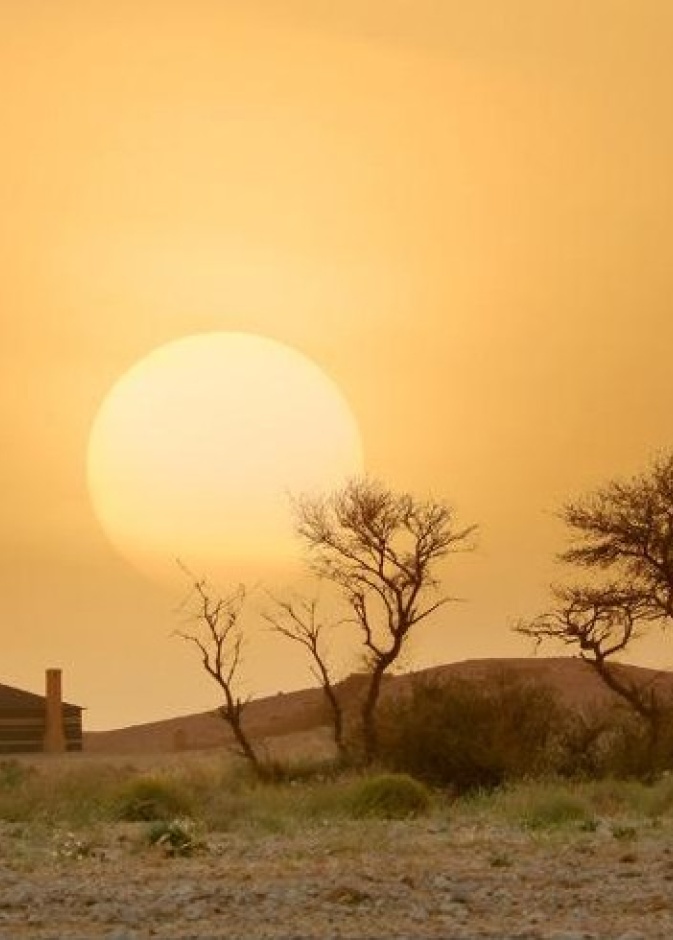 منتزه الثمامة البري