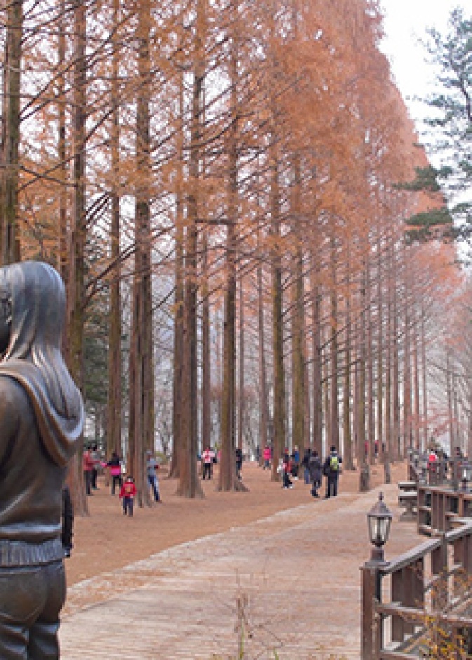 نامي .. جزيرة خلّابة تستريح في أحضان كوريا الجنوبية