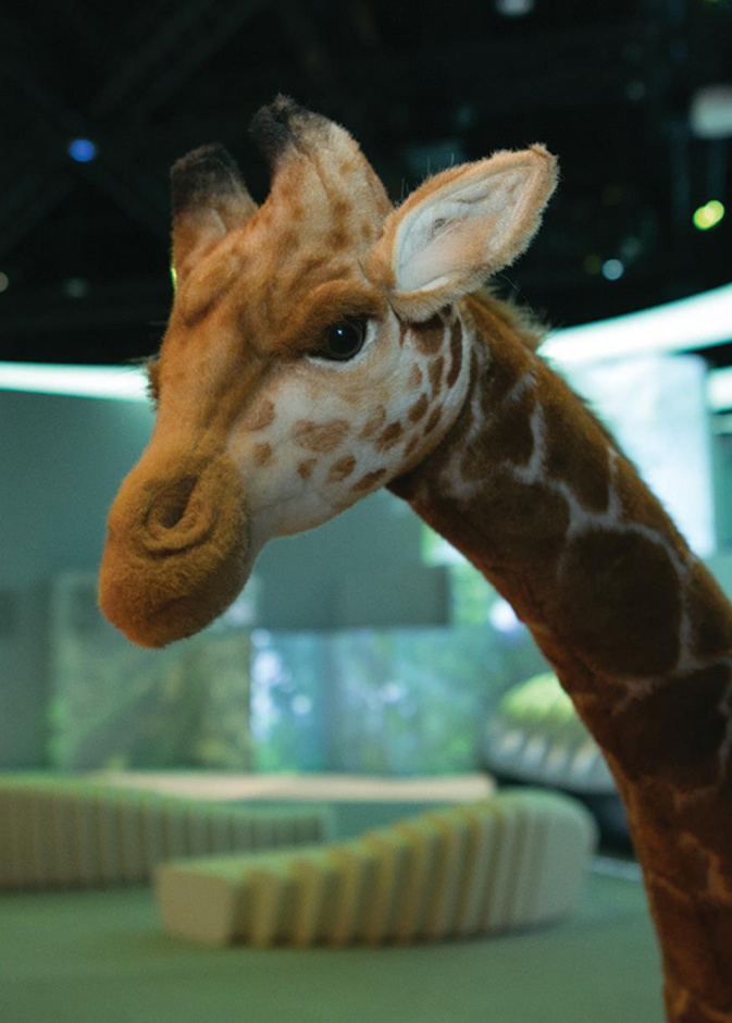 Orbi Dubai، متحف الطبيعة الأول من نوعه في الشرق الأوسط