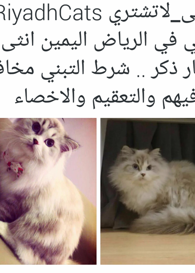 من عروض حساب تبنى لا تشتري