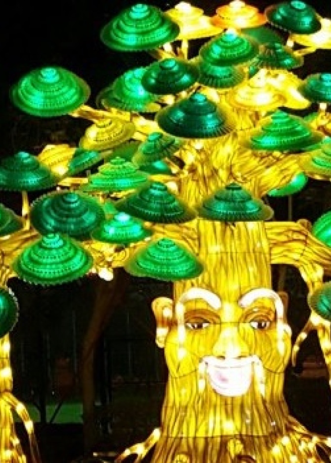 غداً افتتاح حديقة "دبي جاردن جلو"  في زعبيل