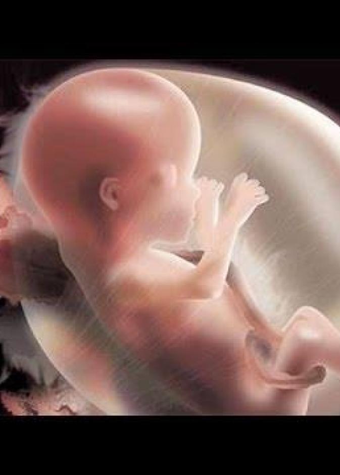 بعد مشاهدة هذا الفيديو لن تجرؤ أي إمرأة على إتخاذ قرار الإجهاض