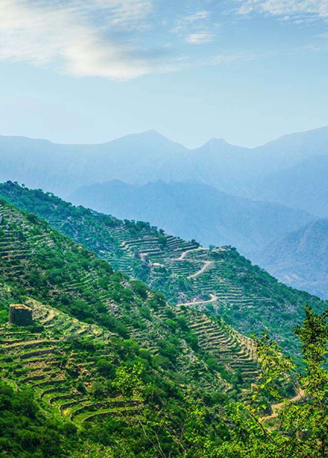 جنوب السعودية