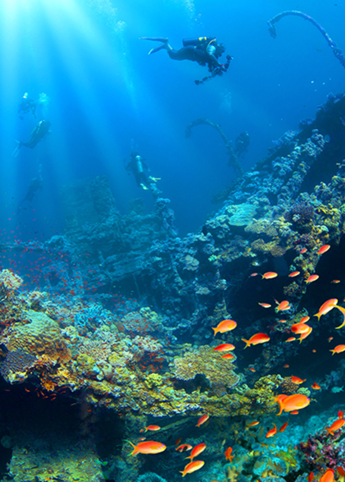 66 جزيرة تجذب سياح السعودية خلال خمس سنوات