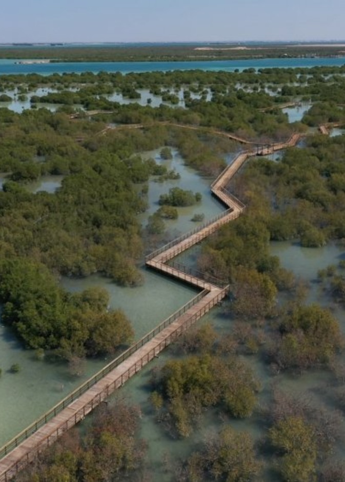 ممشى القرم في جزيرة الجبيل بأبوظبي