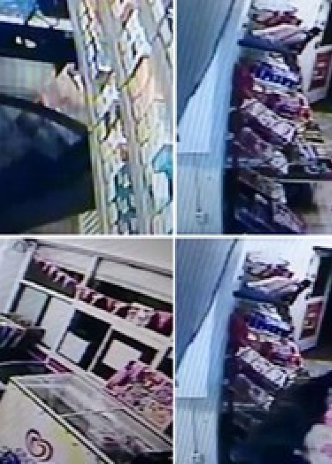 مصرية تهاجم لصا مسلحا بالسويد