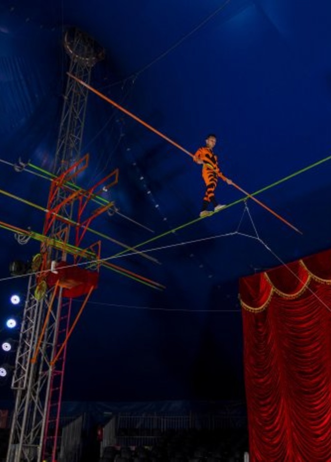 سيرك "فيغاس الشهير" في بوابة الشرق مول بأبوظبي