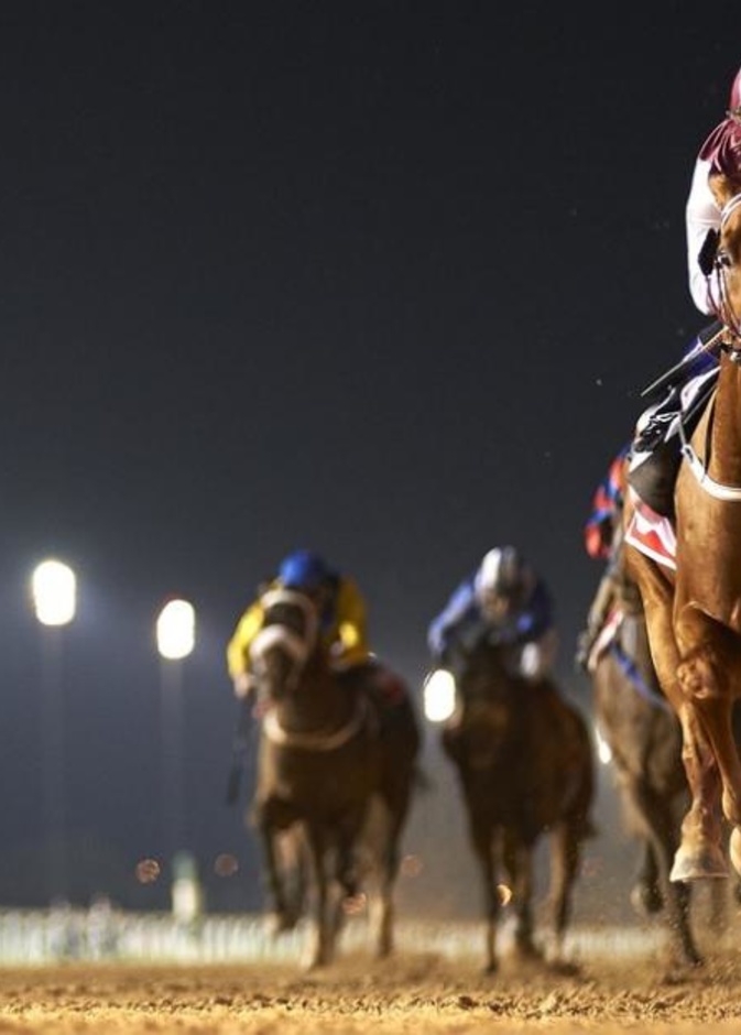 كأس دبي العالمي 2016 ..اغلى سباقات الفروسية في العالم