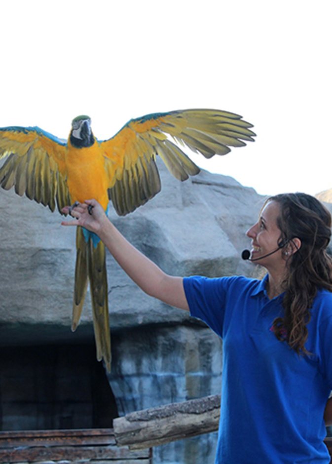 مسرح جديد للعروض التعليمية والتثقيفية في منتجع وحديقة الإمارات للحيوانات