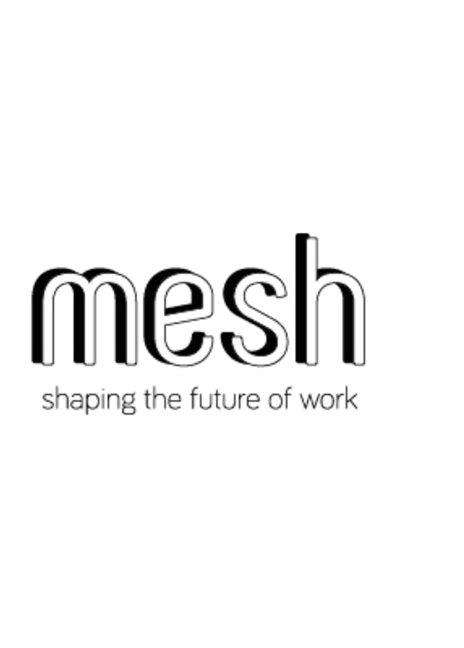 مش mesh .. منصة من دبي لربط الشركات مع المواهب المتميزة لخلق فرص عمل مبتكرة 