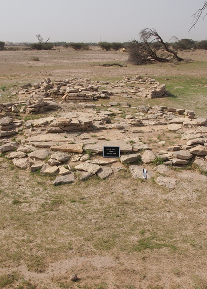 جولات سياحية في مواقع هيلي الأثرية في منطقة العين بإمارة أبوظبي