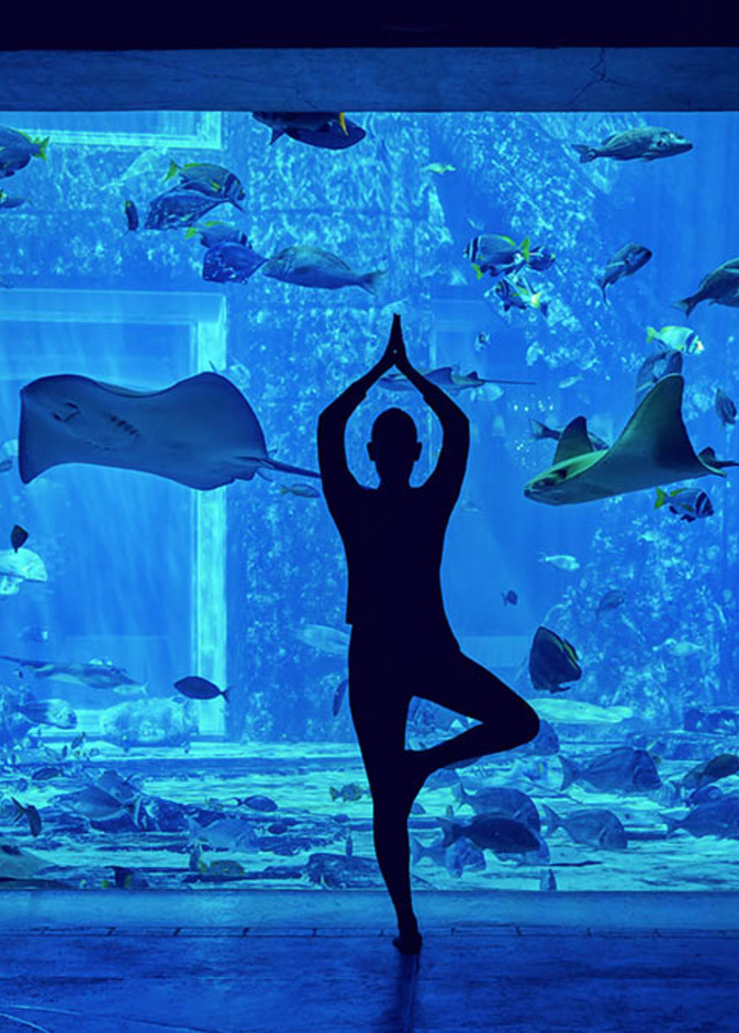 وجهات بارزة تستضيف مبادرة " تحدي دبي للياقة" بفعاليات وعروض مميزة