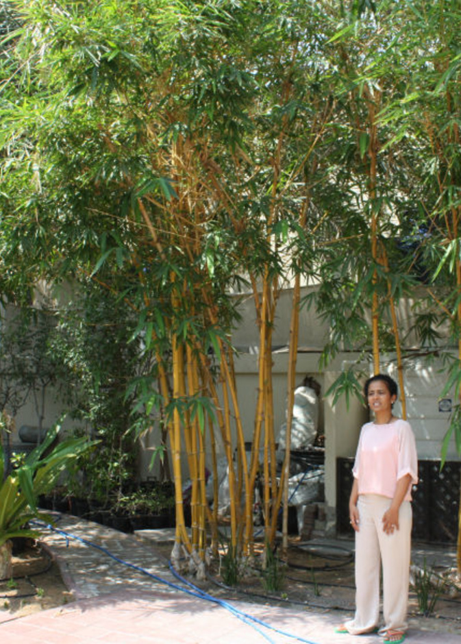 الهوايات الرياضية والنباتات النادرة لها مكان في البيت