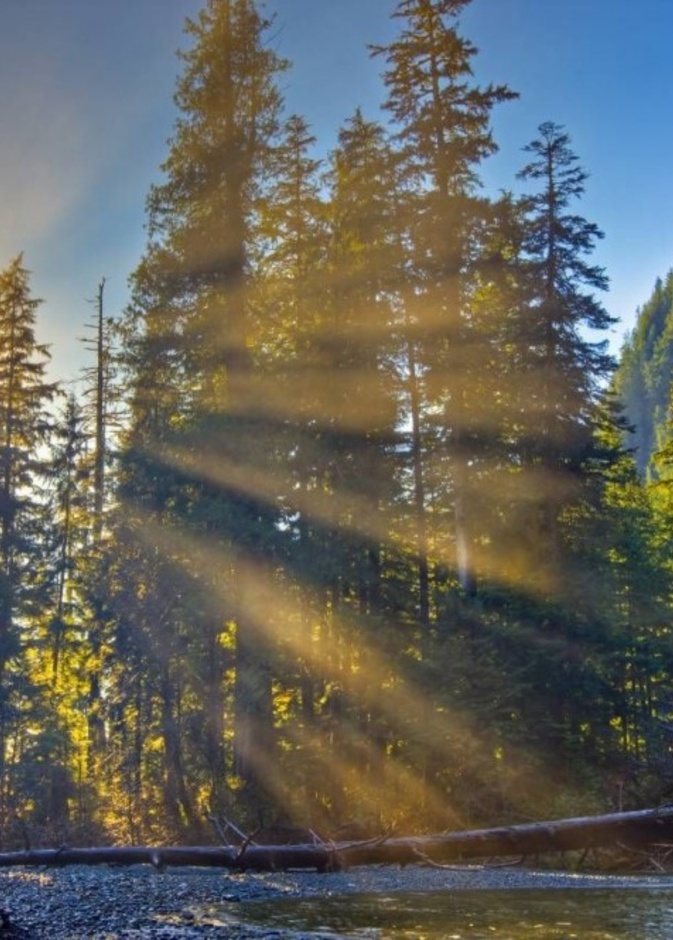 جزيرة فانكوفر في كندا