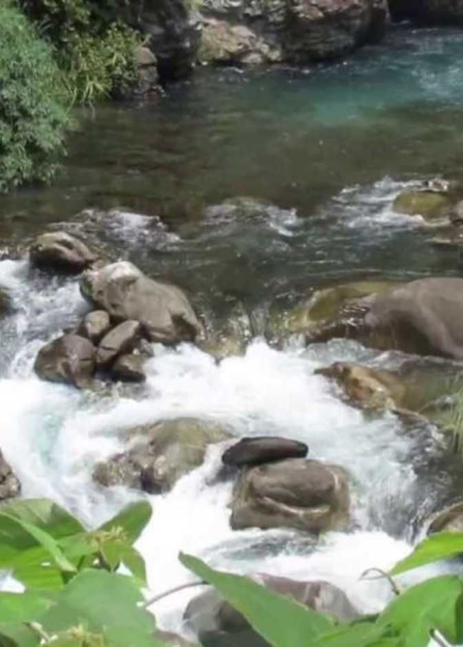فيديو : سعودي يقع في جدول مياه اثناء شرب الشاي!