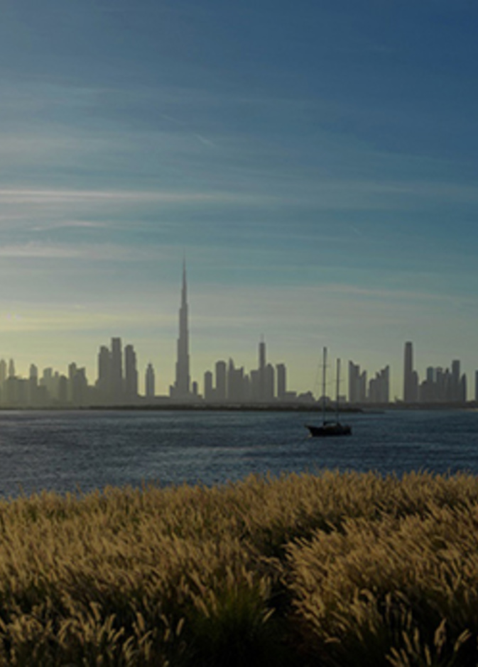 نظرة على فعاليات RiseDCH الترفيهية المميزة في خور دبي