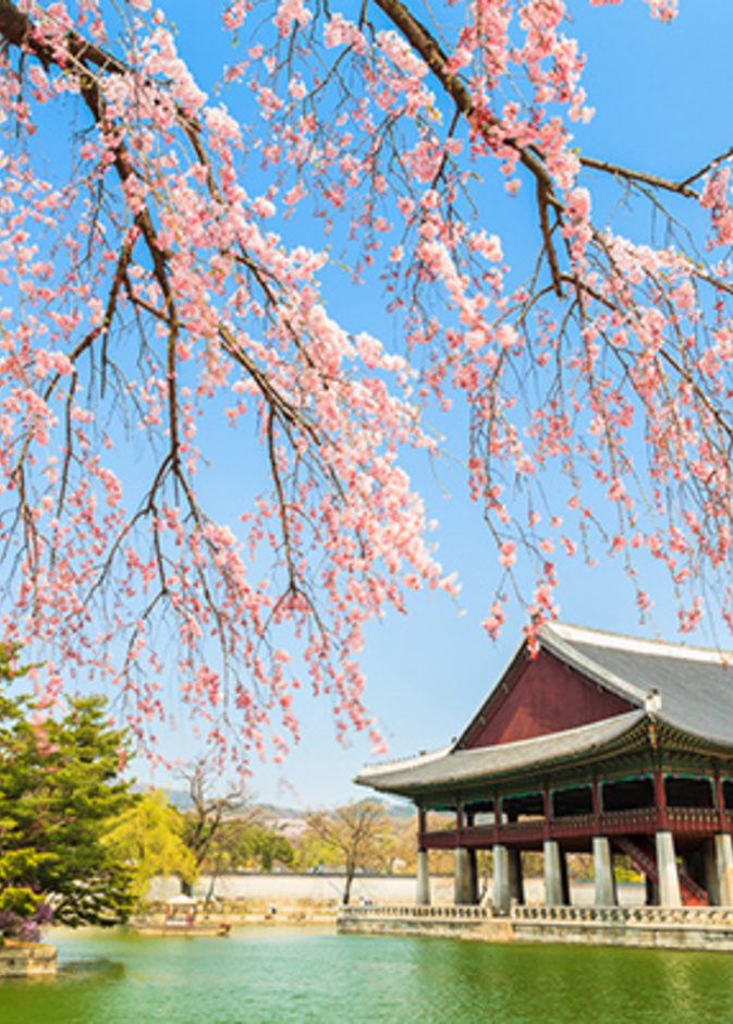 وجهات ربيعية رائعة .. تعرفوا عليها