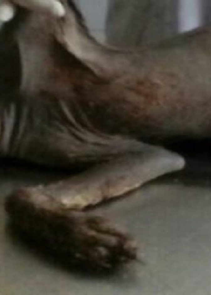 اوصاف مختلفة