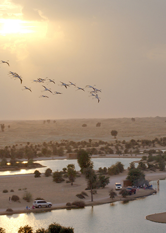 المرموم - وجهة مثالية لعشاق الطبيعة