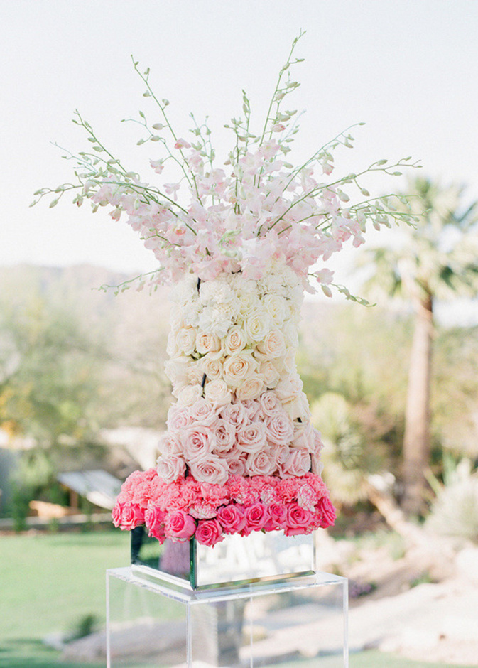 سنتربيس جميلة من اللون الزهري الاومبري