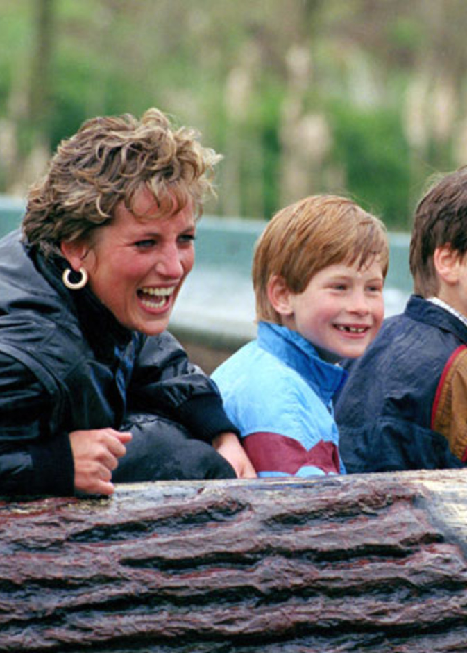  الأميران وليام وهاري يصدران تصريحا مشتركا بشأن تمثال والدتهما