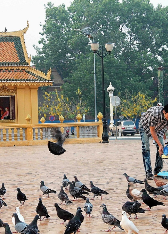  التجول في منطقة سيسوواث كواي