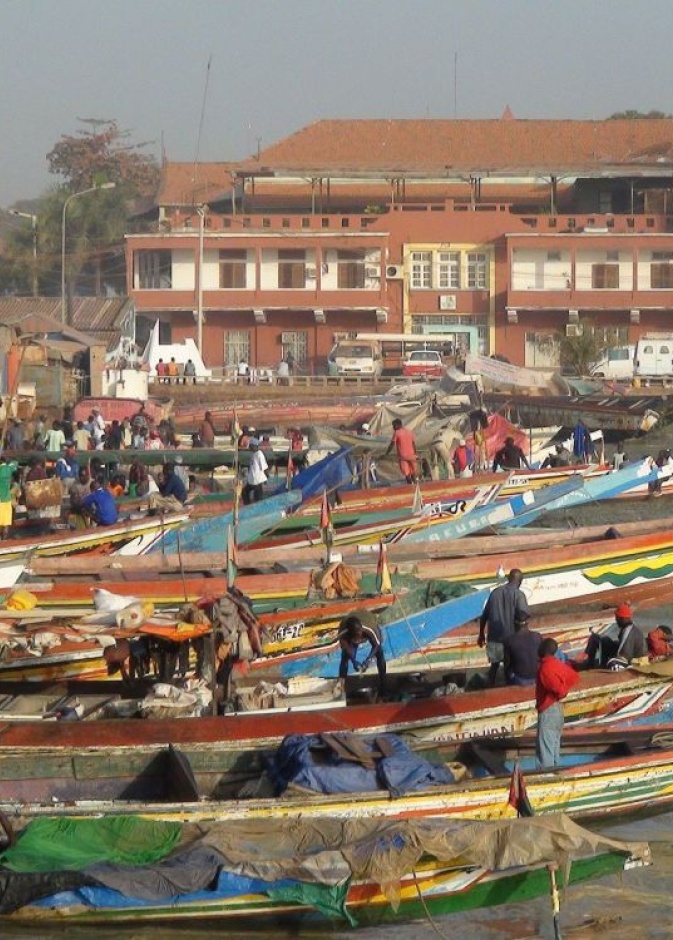 غينيا مسقط راس العاملة المنزليه 