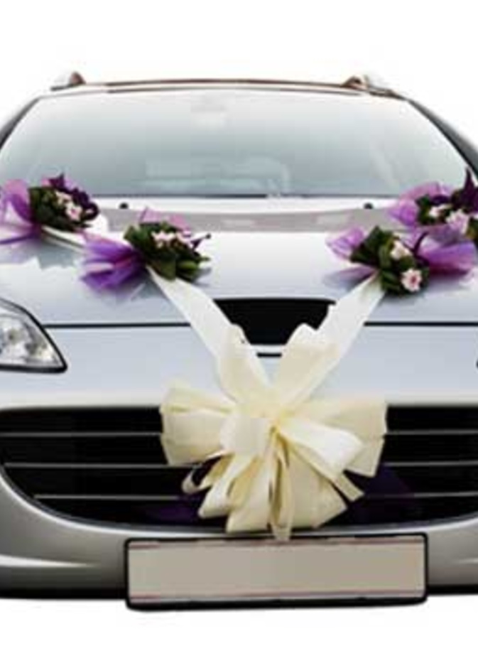 سيارة زفاف وخلاف عروسين