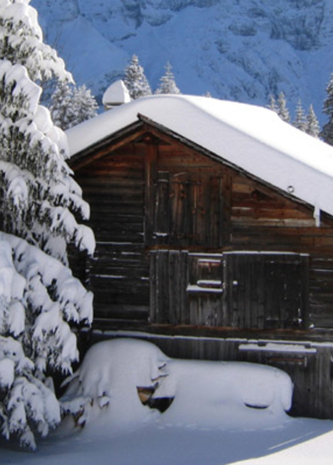 أدفأ شهر ديسمبر على سويسرا منذو 150 عام