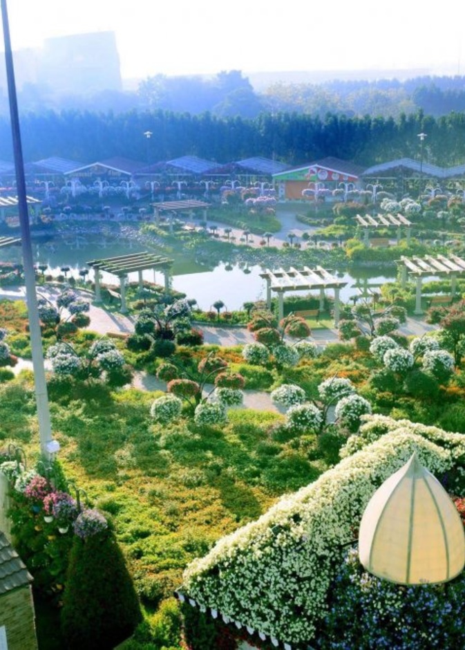 افتتاح الحديقة المعجزة بموسمها السادس يوم 7 نوفمبر 2017