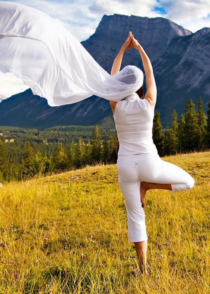 الوضعية الخامسة