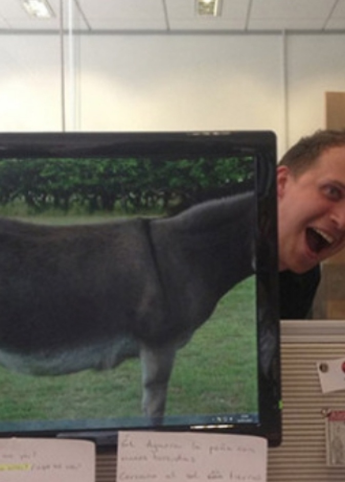 في صور فريدة... حين يكسر الموظفون روتين العمل 