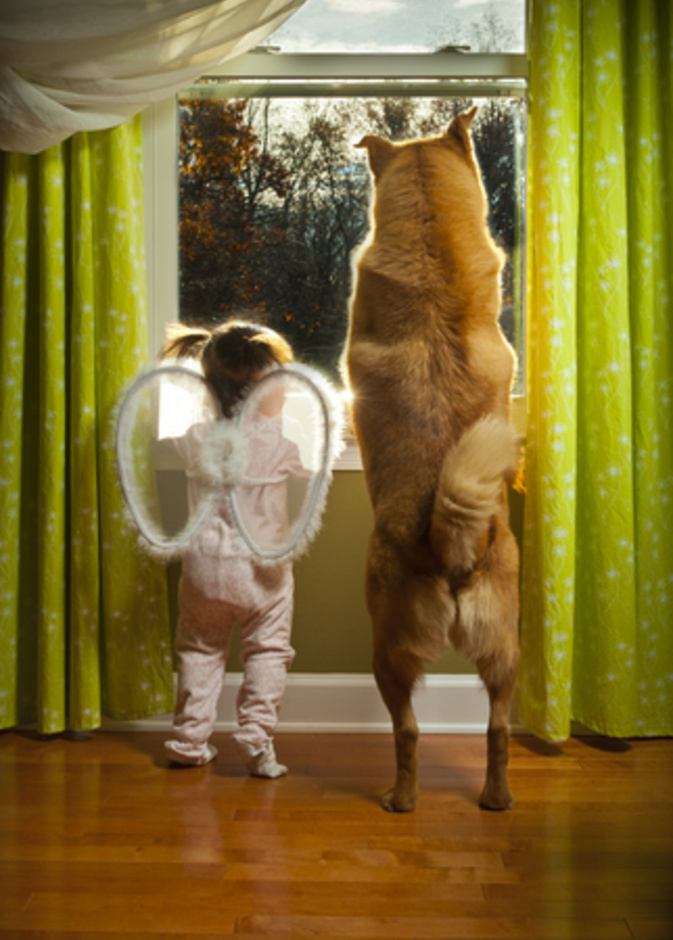 بالفيديو: أكثر من 800 ألف مشاهدة لطفلة تعلّم كلبها المصافحة